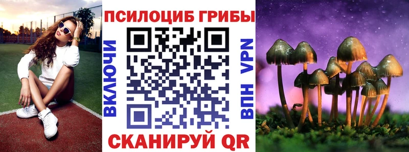 Купить закладки  Октябрьск  Псилоцибиновые грибы GOLDEN TEACHER 
